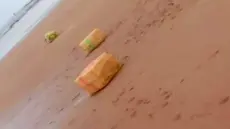 تزنيت : شاطئ أكلو يلفظ مخدرات